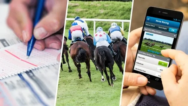 Illustration graphique bookmaker